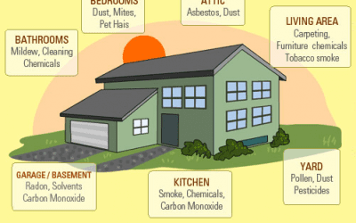 Ever felt like you’re running out of air indoors? Air quality is critical