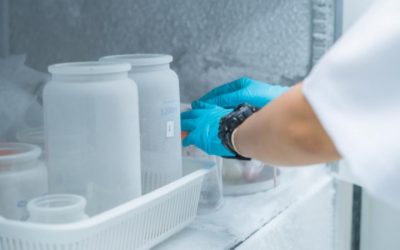 What’s The Worst Case Setup When Qualifying a Refrigerator?