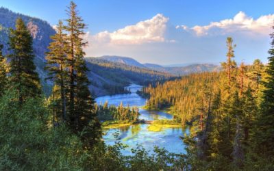 Innovative Air Quality System Eliminates Pollutants Using PLC+HMI