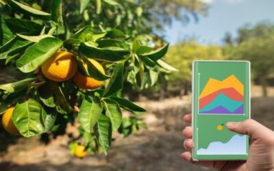 AI Helping Farmers to Make Lemonade
