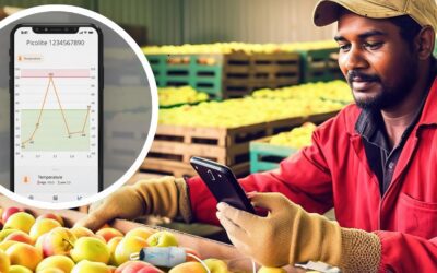 How Temperature Data Loggers Can Help Reduce Food Waste
